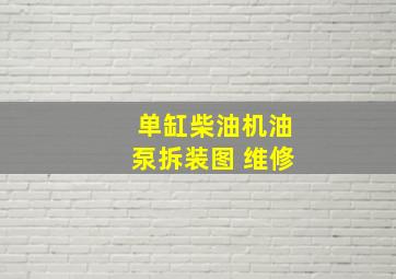 单缸柴油机油泵拆装图 维修